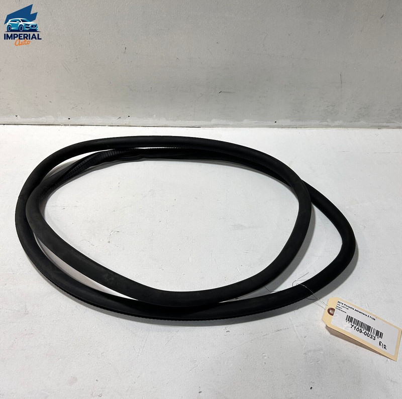 Porsche Panamera 2010-2016 Rear Right Side Door Body Weatherstrip Seal OEM