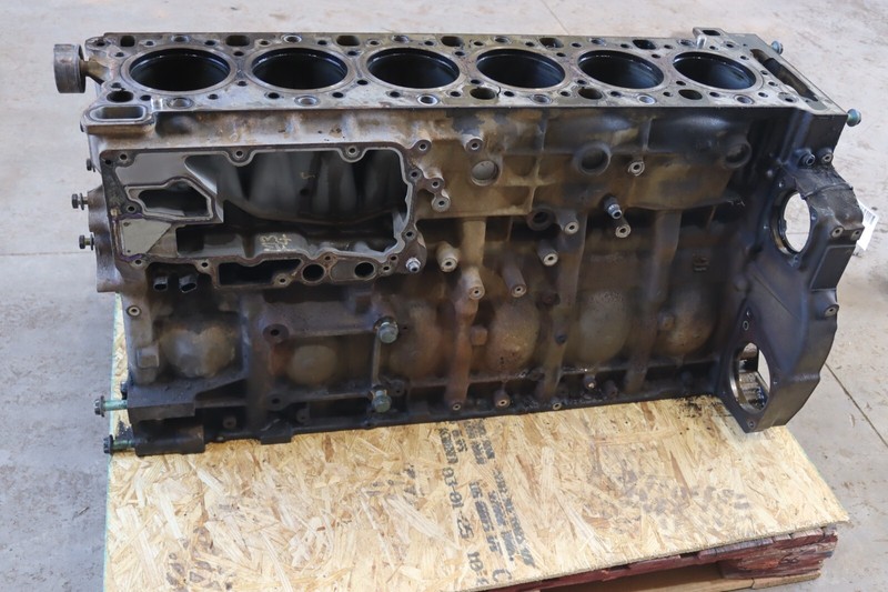 13-2017 FREIGHTLINER CASCADIA EVOLUTION 125 DIESEL DETROIT DD15 ENGINE BLOCK OEM
