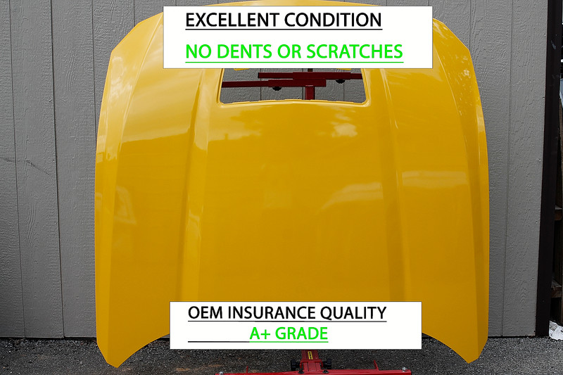 2024-2025 FORD MUSTANG GT FRONT HOOD BONNET NICE OEM INSURANCE QUALITY!