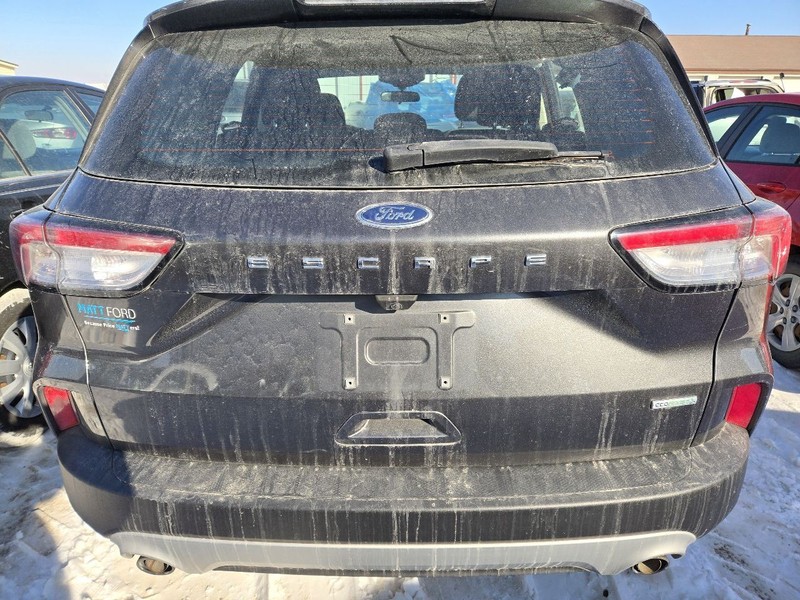 Trunk/Hatch/Tailgate Green Tint Glass Fits 20-22 ESCAPE 3650690