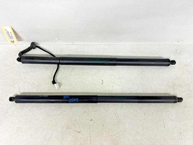 ⭐2016-2020 TESLA MODEL X REAR TRUNK LIFTGATE SHOCK STRUT SUPPORT OEM LOT2692