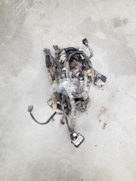 E350SD2016 Engine Wire Harness 239808