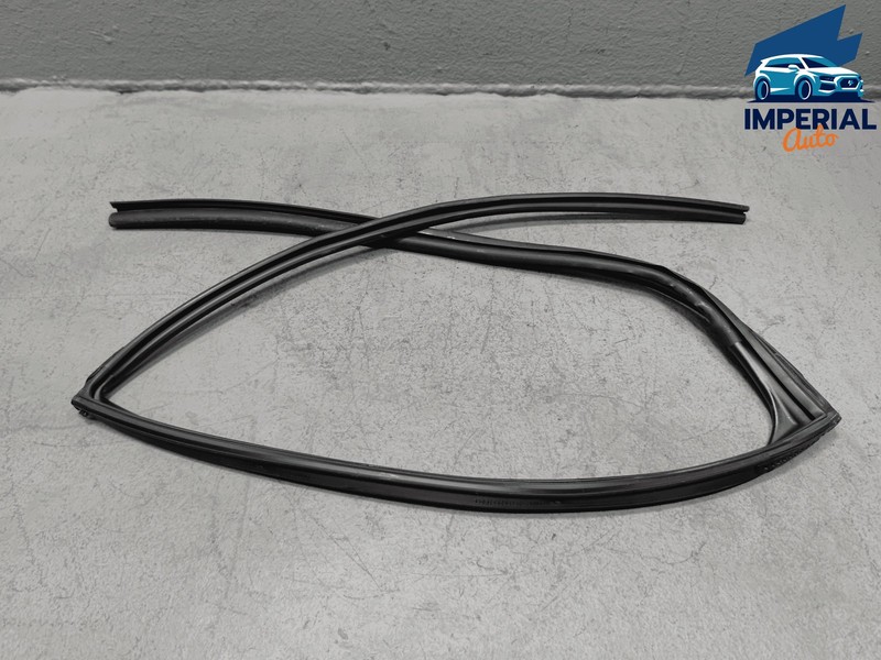 2019-25 Toyota RAV4 Rear Left Driver Side Door Window Glass Run Channel Seal OEM