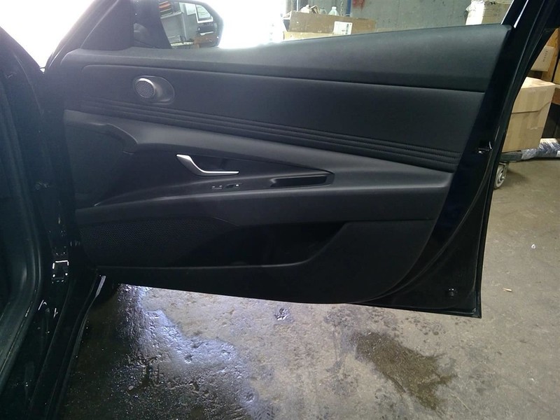 ELANTRA 2024 Passenger Right Front Door Trim Panel 1769431