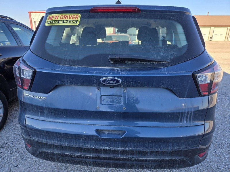 Trunk/Hatch/Tailgate Green Tint Glass Fits 17-19 ESCAPE 3642471