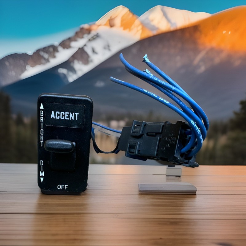 ✅ INTERNATIONAL MV LT PROSTAR OEM ACCENT ACCESSORY LIGHT SWITCH ✅