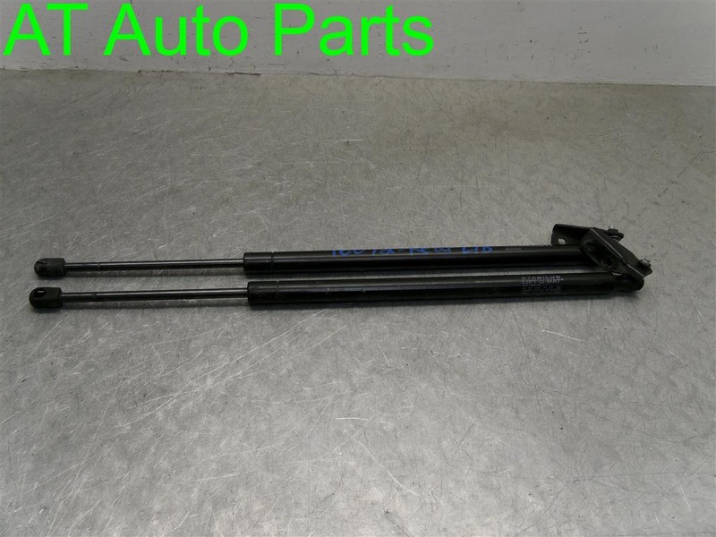 2005 CHEVROLET EQUINOX LIFTGATE GLASS STRUTS PAIR SET OF 2 OEM 15827845