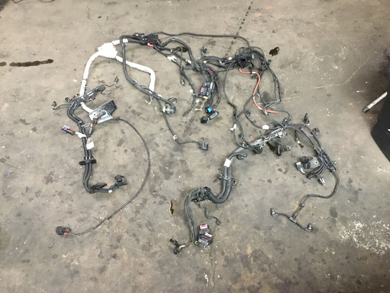 BMW 430i 430XI F32 AWD 2.0 Engine Motor Wire Wiring Harness 2017 17 :Y