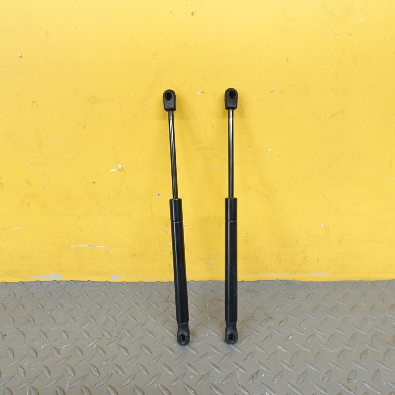 2016-2020 TESLA MODEL X FRONT LEFT RIGHT BONNET HOOD STRUT SHOCK SET 203387900B