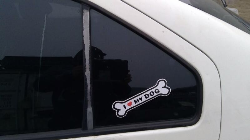 Rear Vent Glass/window JETTA Left 00 01 02 03 04 05