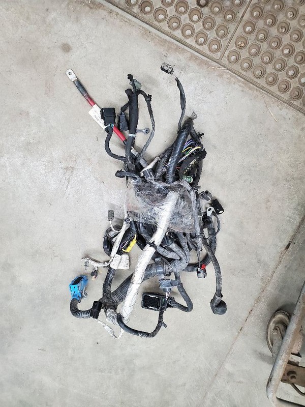 MALIBU2014 Engine Wire Harness 293629