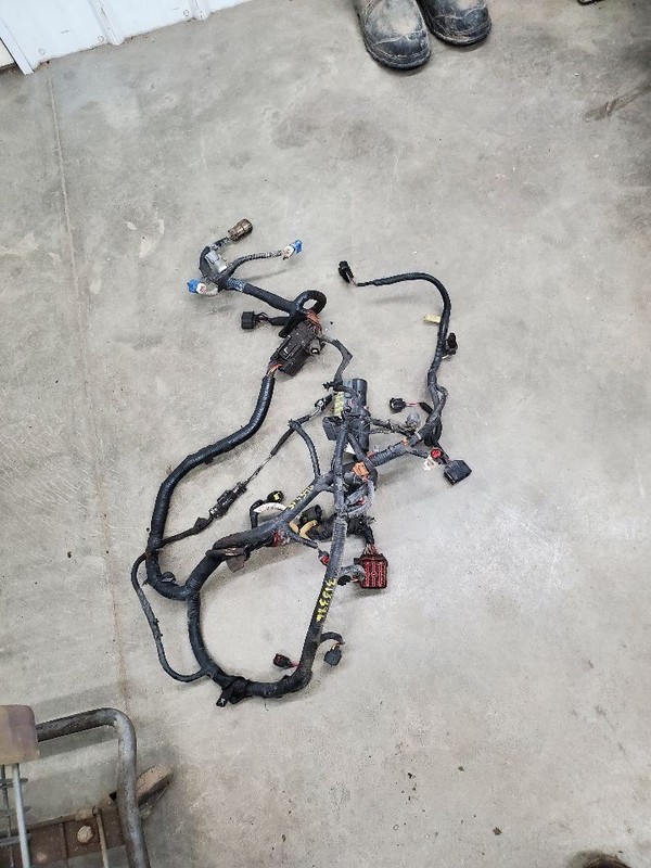 MOUNTNEER 2000 Engine Wire Harness 301885