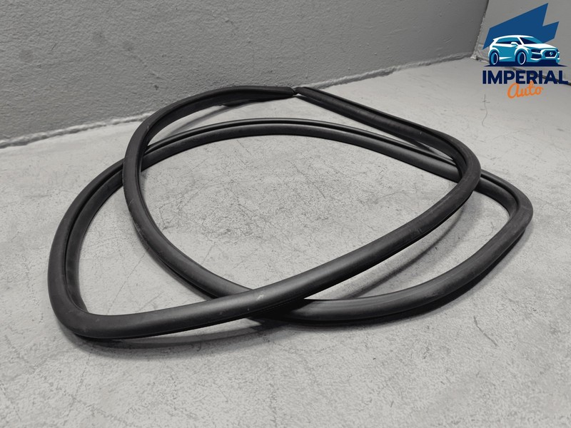 2019-2025 Toyota RAV4 Front Left Driver Side Door Body Weatherstrip Seal OEM