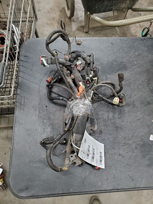 F250SD2006 Engine Wire Harness 274856