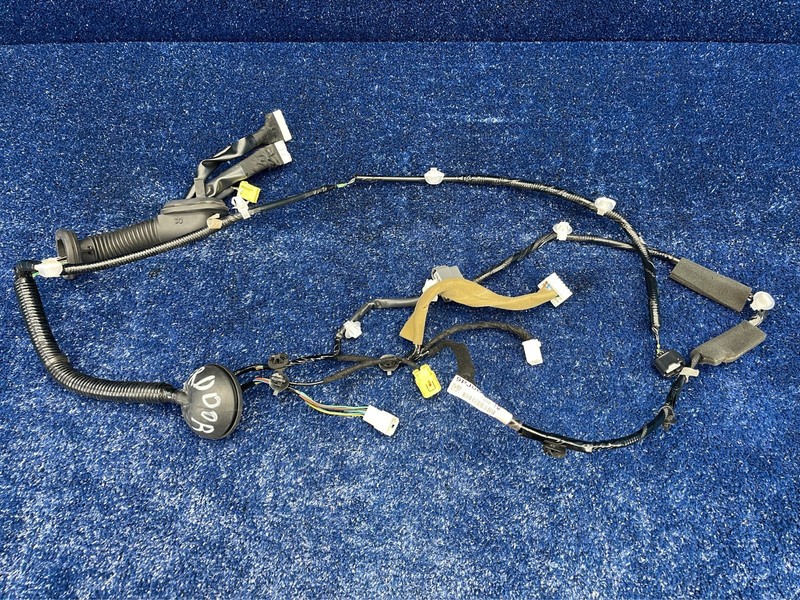 2017–2020 Nissan Pathfinder Front Right Door Wiring Harness OEM