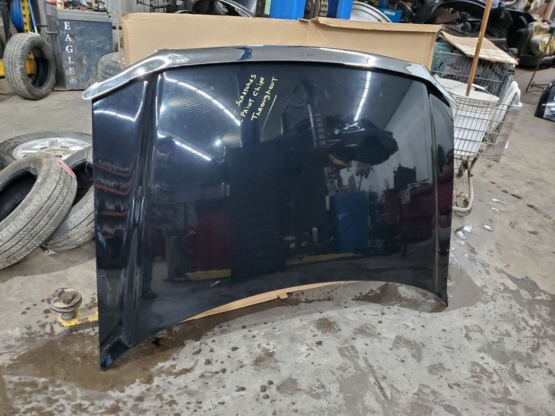 Hood Fits 04-08 FORD F150 PICKUP 296283