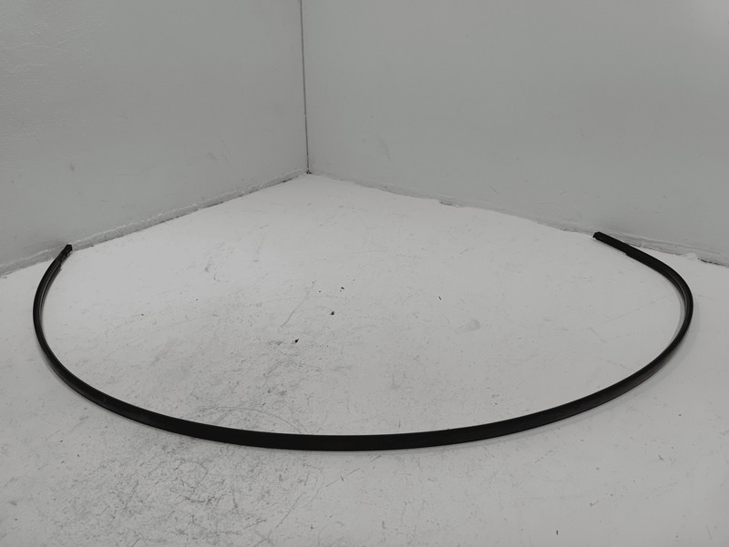 2018-2025 TOYOTA CAMRY RIGHT PASSENGER SIDE ROOF DRIP MOLDING TRIM OEM
