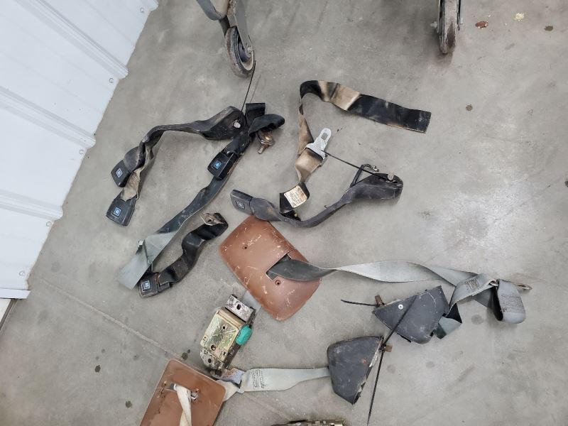 CATALINA1975 Seat Belt Rear 287479