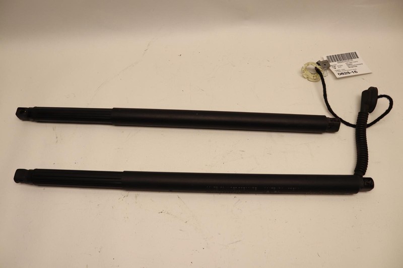 2015-2020 CADILLAC ESCALADE ESV REAR TRUNK TAILGATE POWER LIFT STRUT PAIR OEM