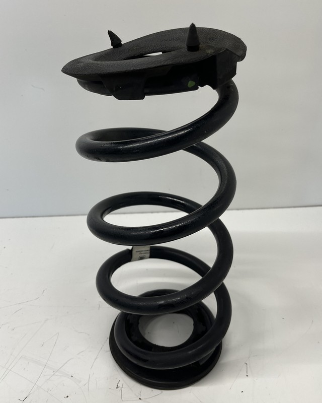 17-23 TESLA MODEL 3 RWD REAR RIGHT OR LEFT SIDE COIL SPRING 104447201 1842 S15