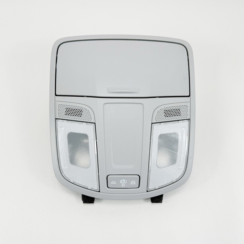 2016-2021 Hyundai Tucson Overhead Console Dome Map Light Gray OEM 98200-D300X