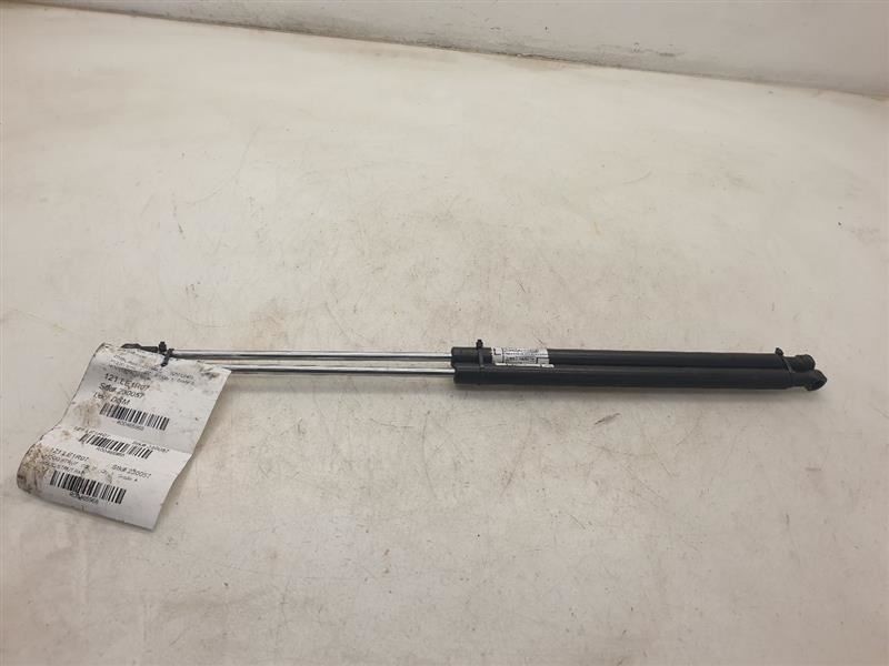 2007 LEXUS LS460 4.6L LEFT AND RIGHT SIDES HOOD STRUT PAIR