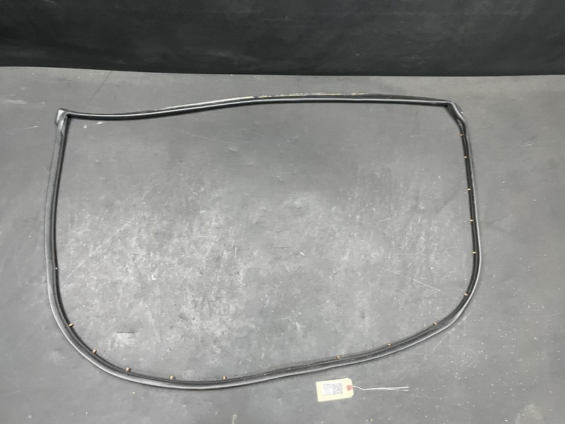 Front Left Door Weatherstrip 2021 Nissan Sentra 80831-6LE0A 2020 2022 2023
