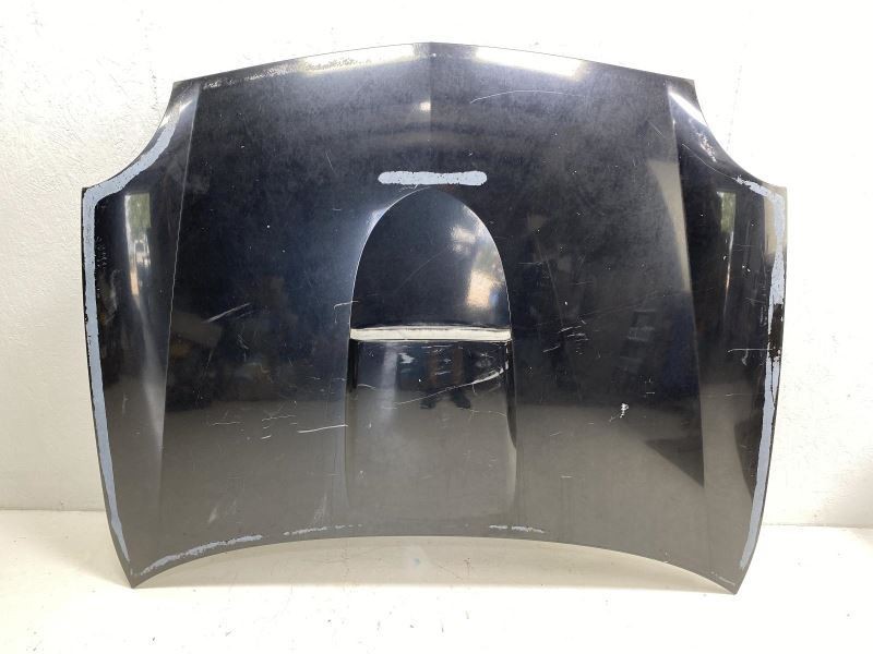 Hood Black 1W6Z-16612-AA Fits 2002-2005 Ford Thunderbird 84046