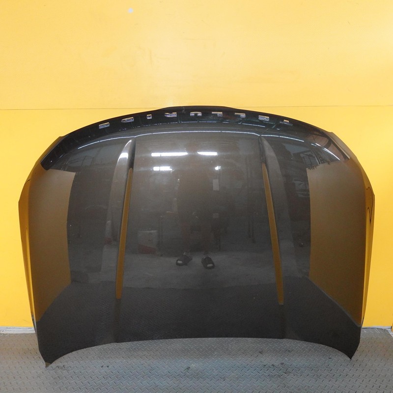 2020-2024 KIA TELLURIDE Oem Front Hood Bonnet Panel 66400s9000
