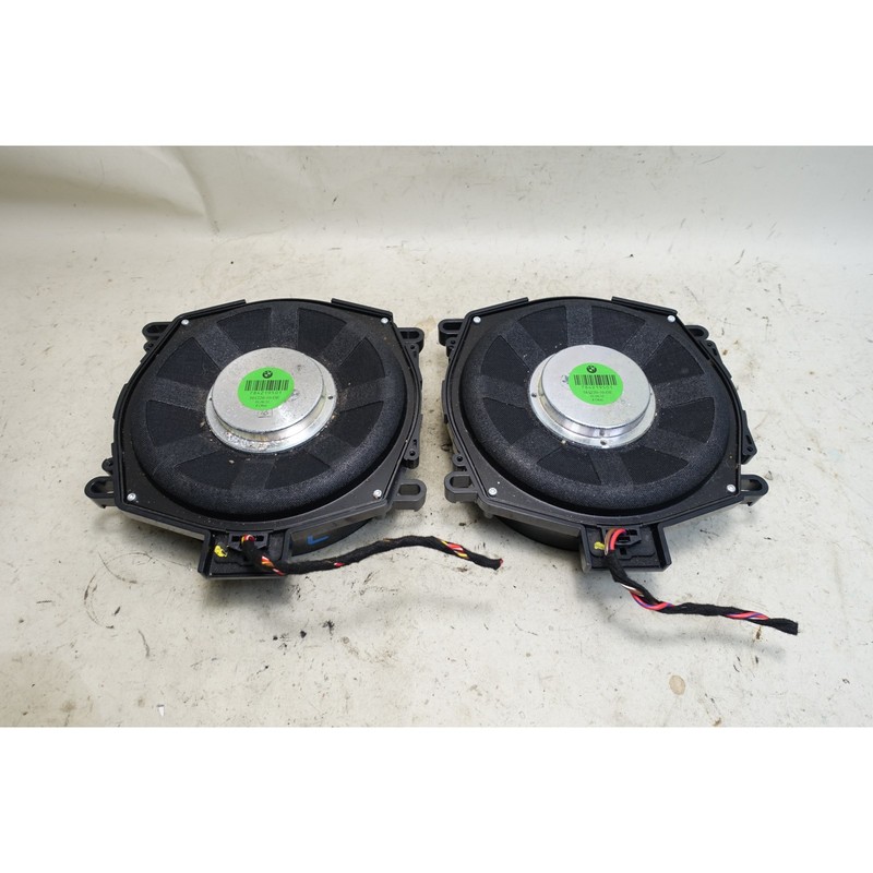 BMW E70 X5 Factory Individual Audio Central Subwoofer Pair 2007-2013 OEM