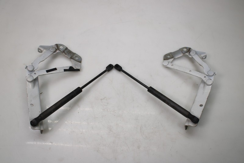 12-19 RANGE ROVER EVOQUE FRONT LEFT & RIGHT HOOD HINGES LIFT SUPPORT STRUT OEM