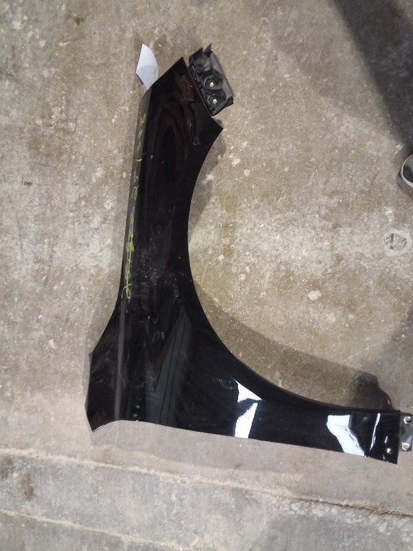 IMPALANEW 2016 Fender 3601767