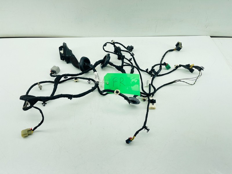 18-20 BUICK REGAL SPORTBACK FRONT RIGHT DOOR PANEL WIRE WIRING CABLE HARNESS OEM