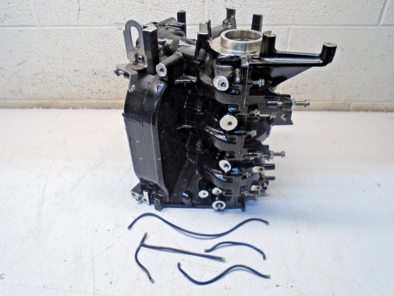 CA5 Johnson Evinrude 25 HP Cylinder & Crankcase Assembly 438066 0438066