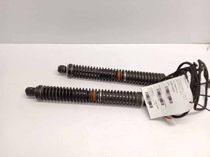09-15 OEM BMW F01 F02 740 750 760 Rear Left Right Trunk Shock Strut Actuator SET