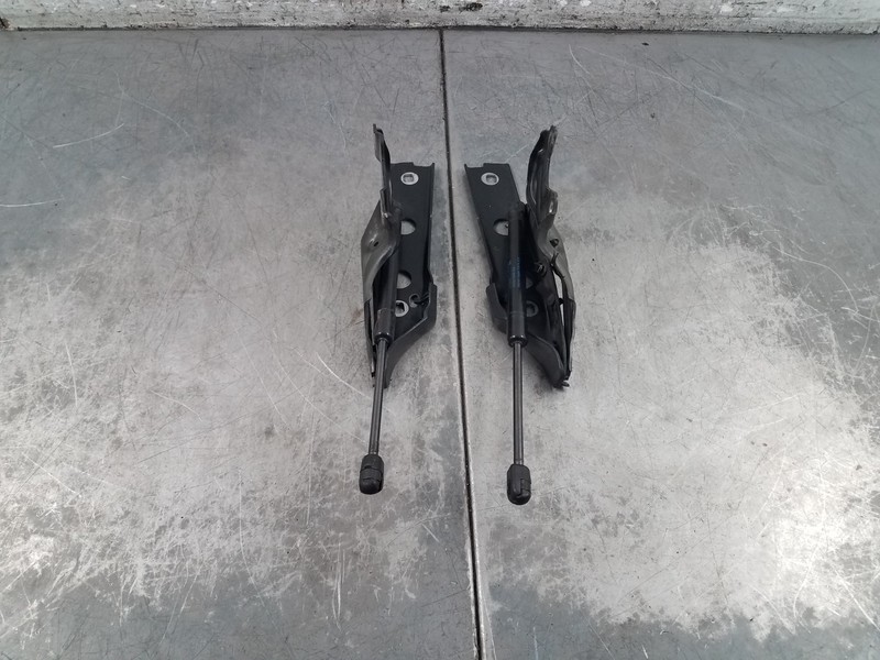 2014 Audi S6 Quattro C7 Hood Hinges / Struts#1779 Q3