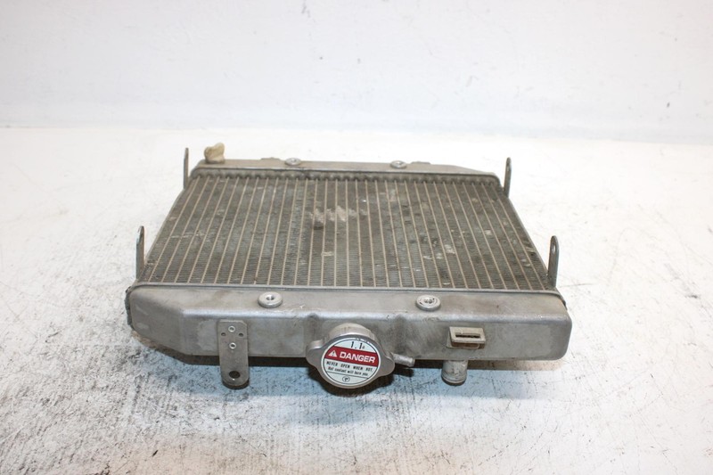 2002 Honda Foreman Rubicon Oem Radiator 19010-HN2-505 AH36