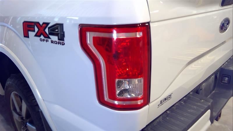 Driver Tail Light Styleside Incandescent Fits 15-17 FORD F150 PICKUP 3095195
