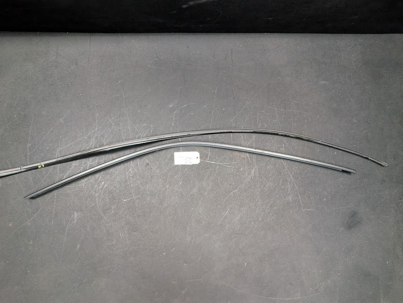 Left Roof & Door Molding 2020 Dodge Challenger 4575903AH 2015 2016 2017 - 2023