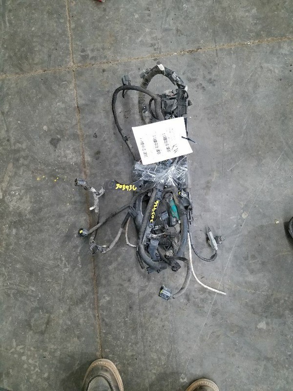 EXCURSION 2000 Engine Wire Harness 251267