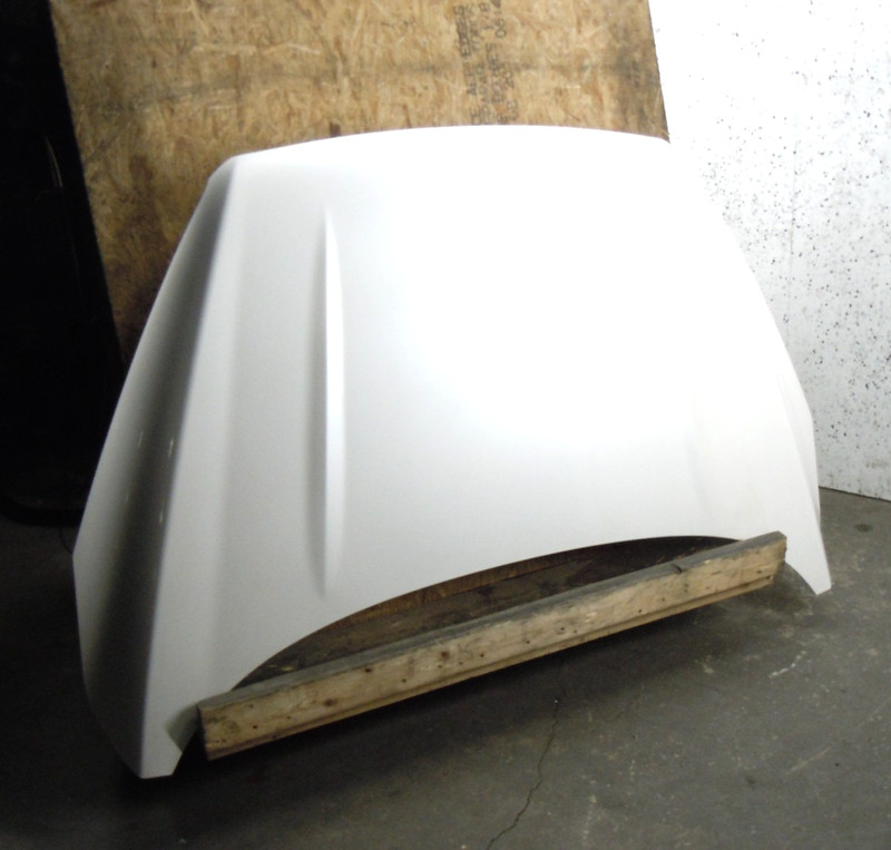 2017-2019 Ford Escape Hood Bonnet Lid OEM UG