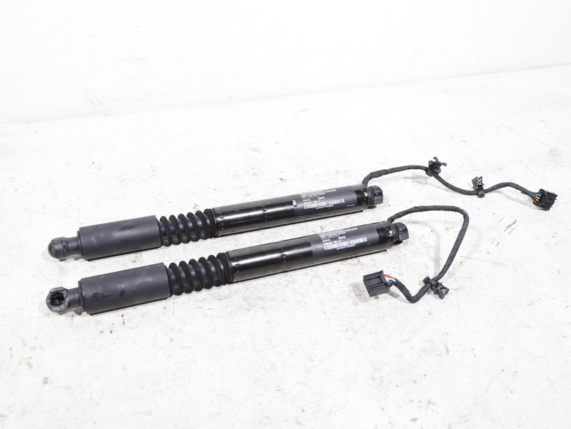 2016-2023 Tesla Model X Rear LEFT Side Door Power Liftgate Shock Strut OEM