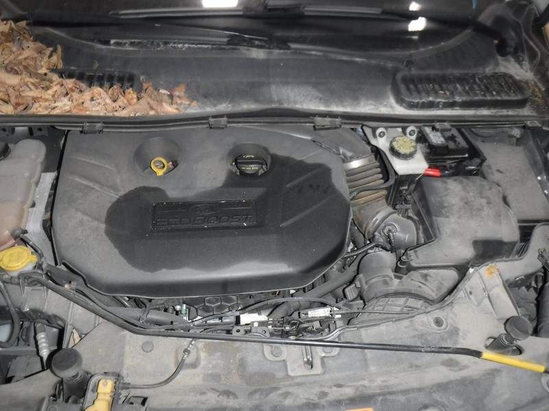 13-'16 FORD ESCAPE Engine 2.0L w/turbo 91k miles Runs Well 6 Month Warranty!