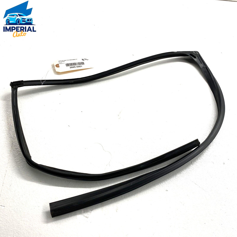 2015-2020 Acura TLX Rear Left Driver Side Door Window Glass Run Channel Seal OEM