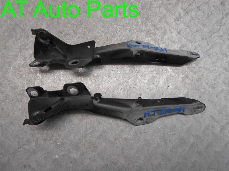 2006 FORD EXPEDITION DRIVER PASSENGER HOOD HINGE HINGES SET OF 2 OEM