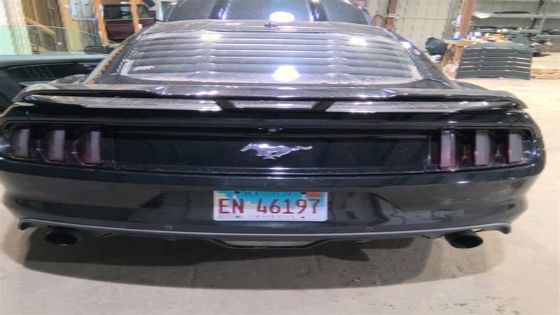 Trunk/Hatch/Tailgate Coupe Ecoboost With Spoiler Fits 15-22 MUSTANG 3451032
