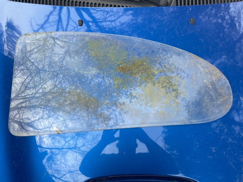 65-77 VOLKSWAGEN BEETLE RH REAR QUARTER WINDOW GLASS - PASSENGER SIDE VW