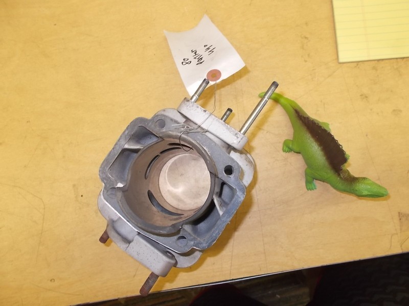 Panther 80 440 431cc Cylinder *FREE SHIPPING*
