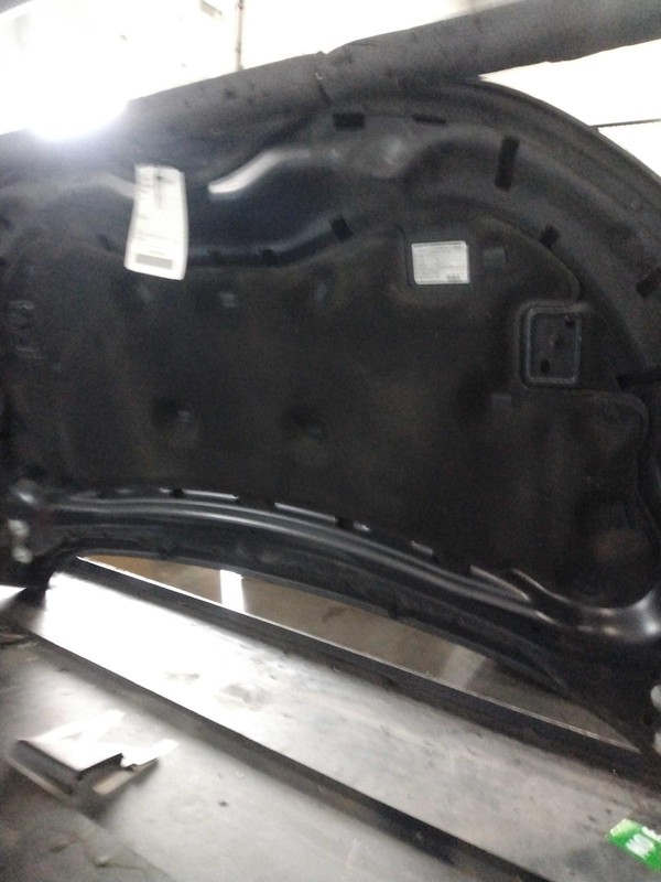 2016 Ford Edge OEM Used Grey Hood Panel FT4Z16612A 4DR SUV 129K Miles