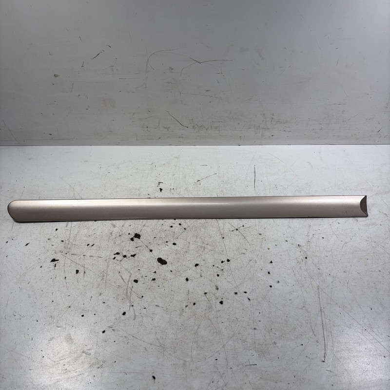 00-03 Acura TL Right Rear Door Protector Molding Gold 75303-S0K-A01ZN OEM